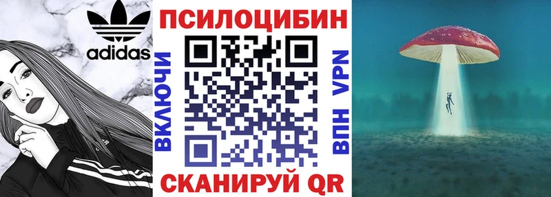 как найти наркотики  Дагестанские Огни  Псилоцибиновые грибы Psilocybine cubensis 