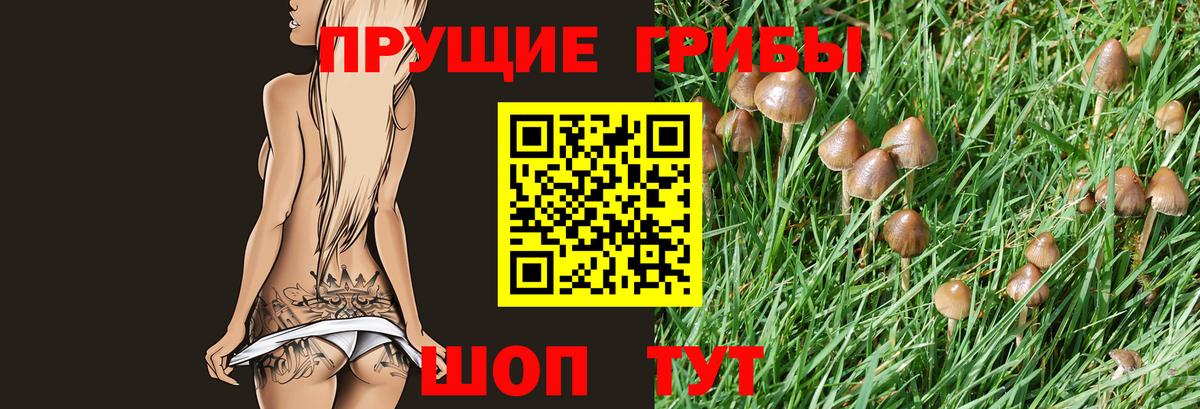 Галлюциногенные грибы Cubensis  Вход с VPN  Дагестанские Огни 