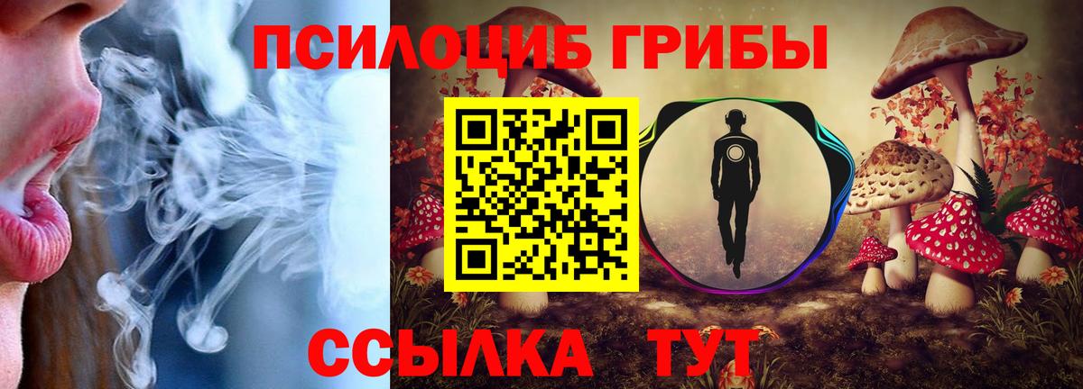 Галлюциногенные грибы MAGIC MUSHROOMS Дагестанские Огни